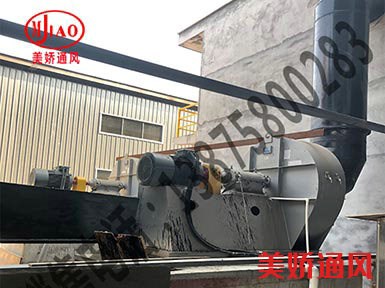 大型生物科技有限公司配套我公司风机点火成功！